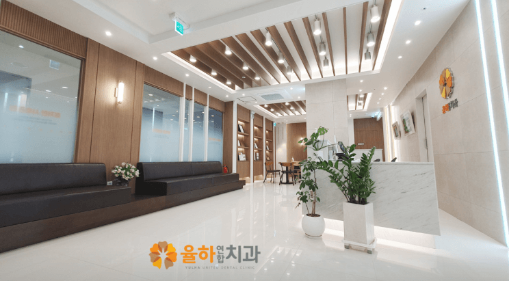 신기역 임플란트 치과