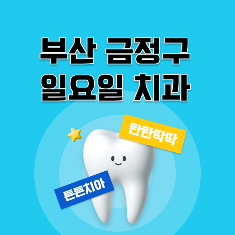 부산 금정구 일요일 치과