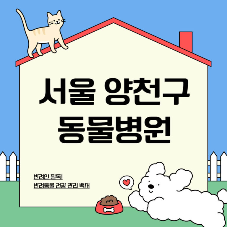 서울 양천구 동물병원