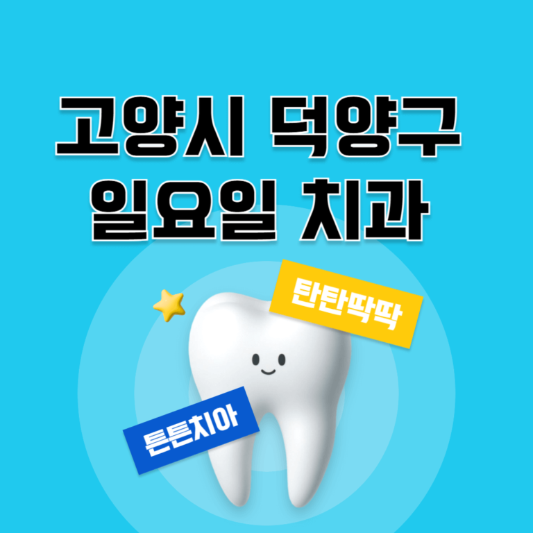 고양시 덕양구 일요일 치과