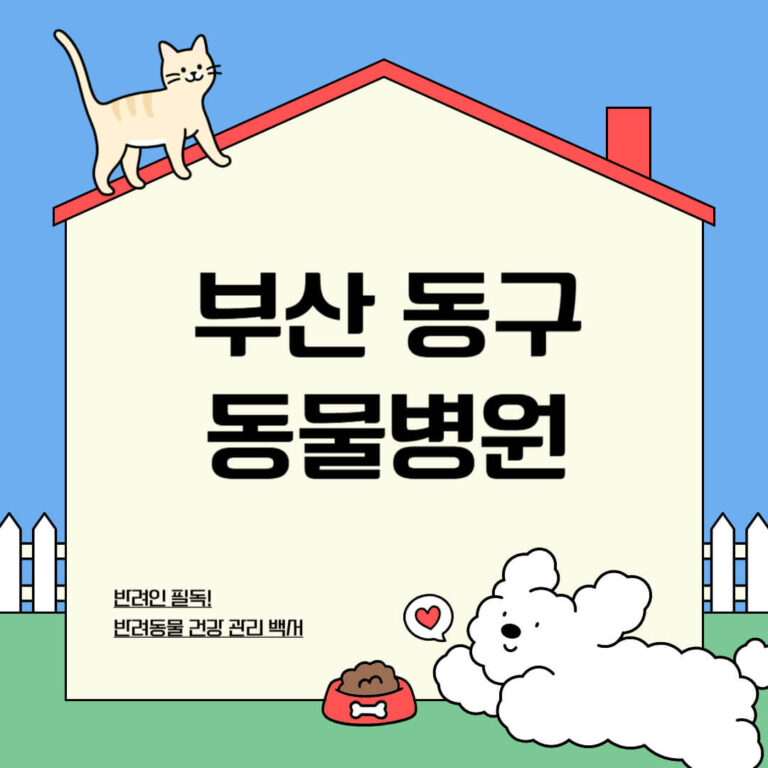 부산 동구 동물병원