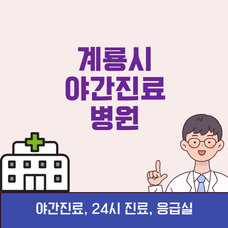 계룡시 야간진료 병원