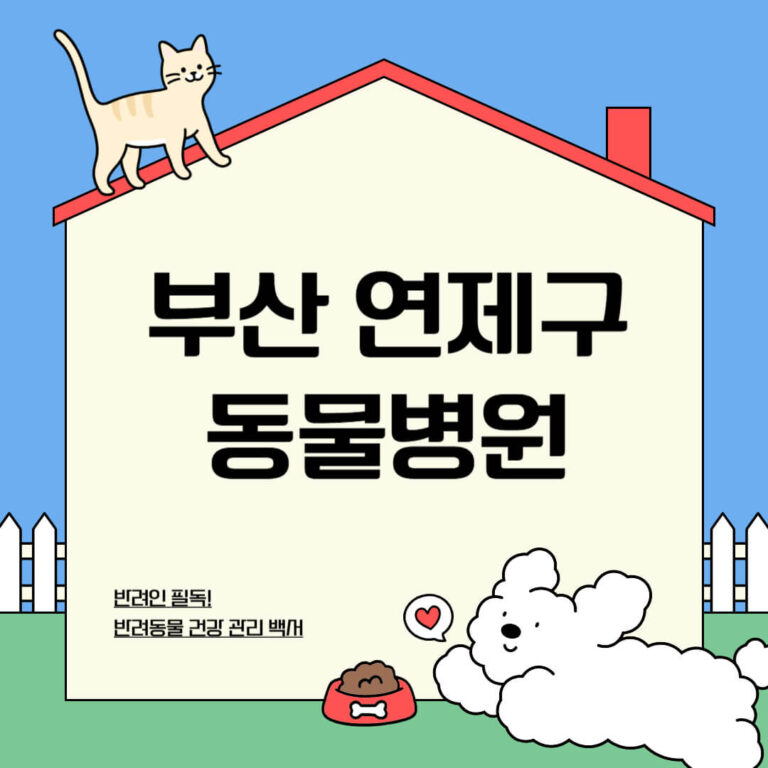 부산 연제구 동물병원