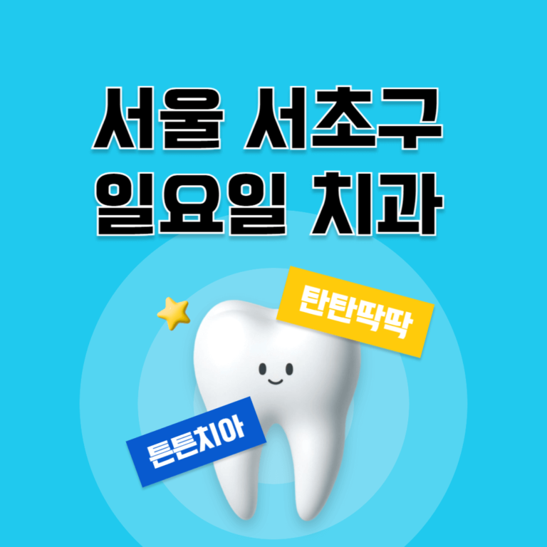 서울 서초구 일요일 치과