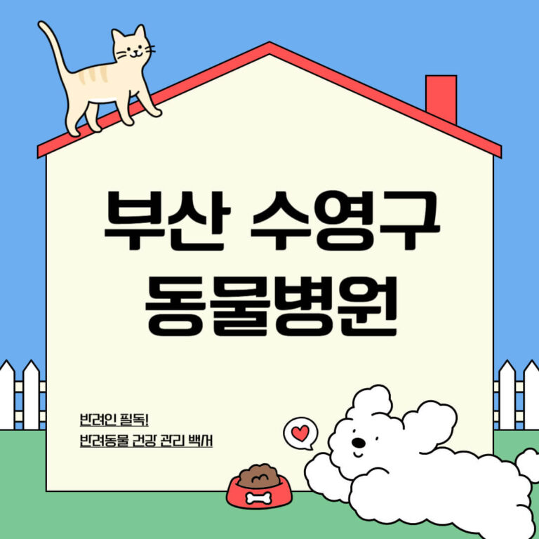 부산 수영구 동물병원