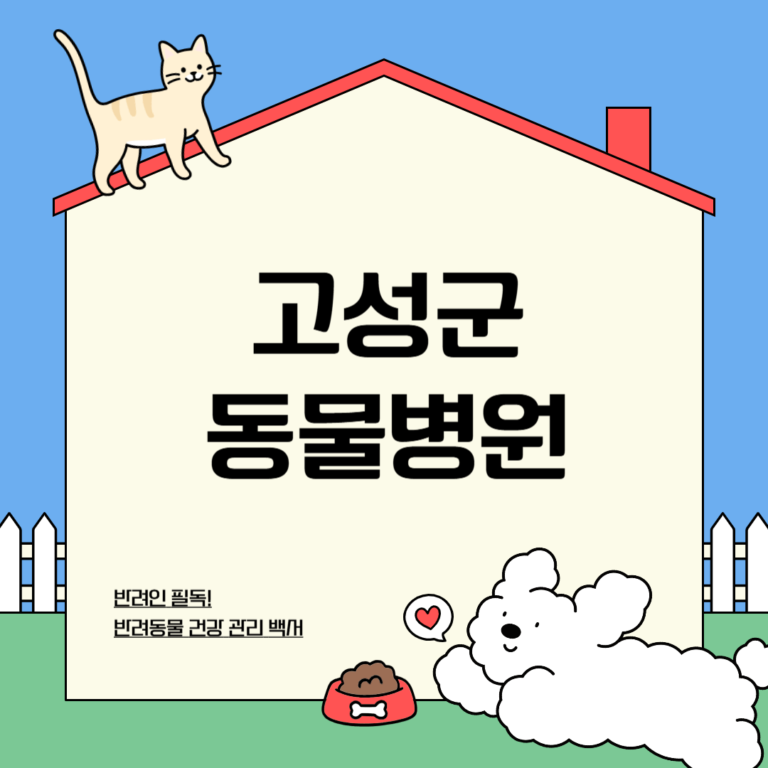 강원 고성군 동물병원