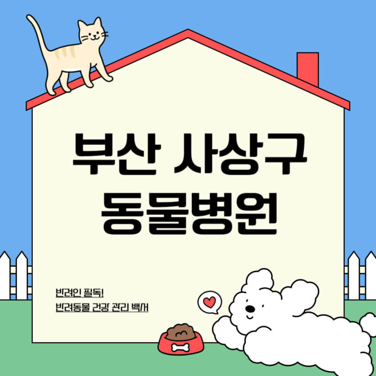 부산 사상구 동물병원