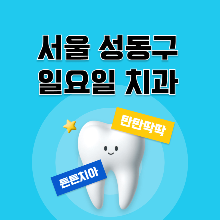 서울 성동구 일요일 치과
