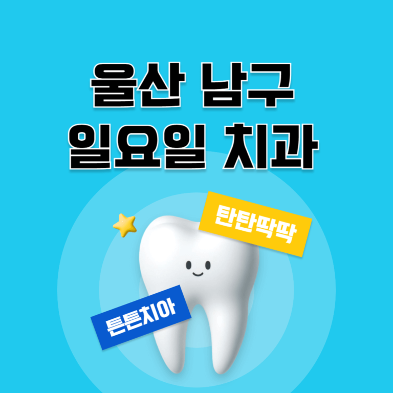 울산 남구 일요일 치과