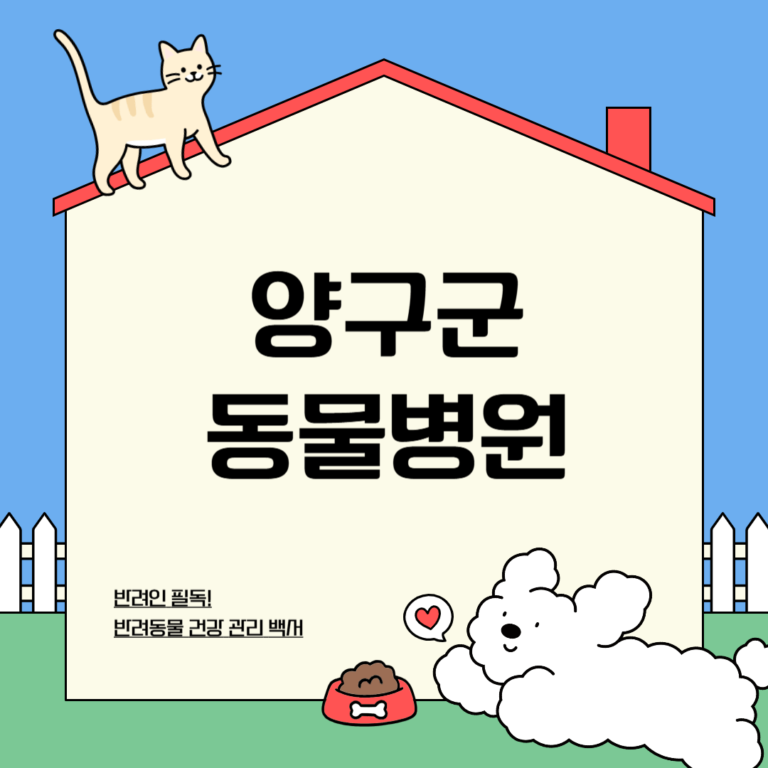 양구군 동물병원
