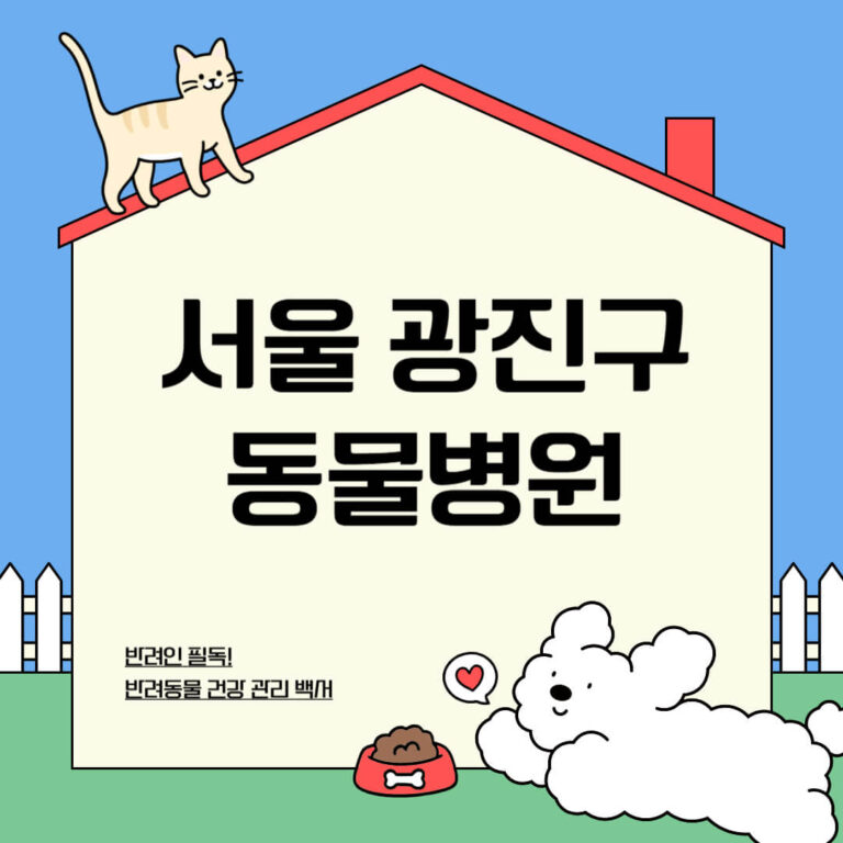 서울 광진구 동물병원