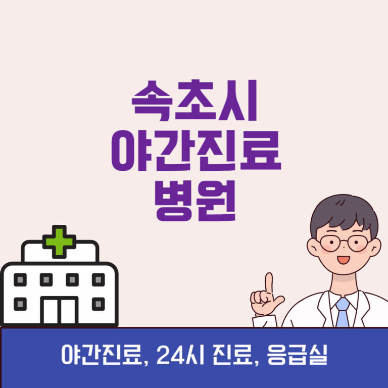 속초시 야간진료 병원