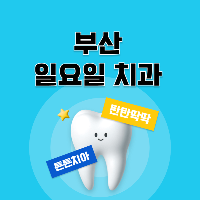 부산 일요일 치과