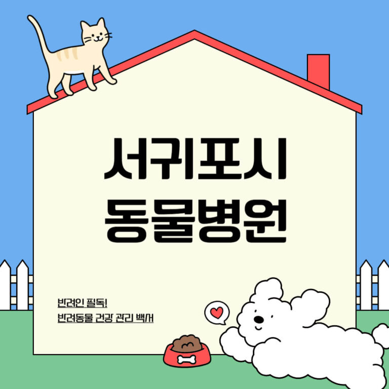서귀포시 동물병원