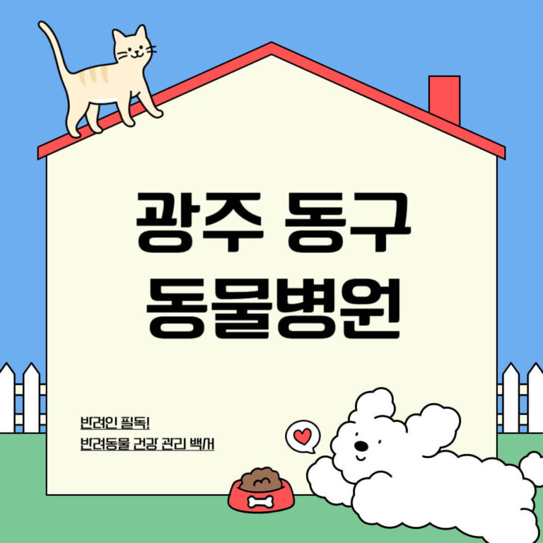광주 동구 동물병원