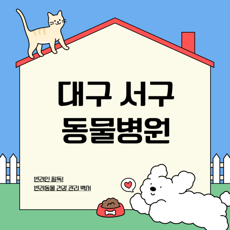 대구 서구 동물병원