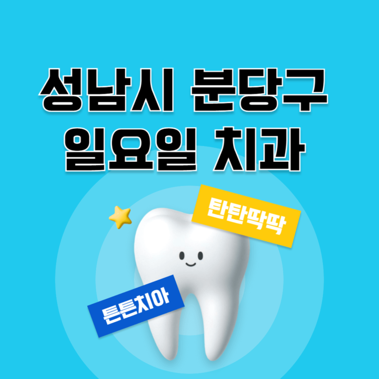 성남시 분당구 일요일 치과