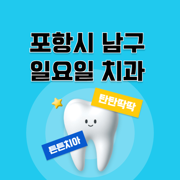 포항시 남구 일요일 치과