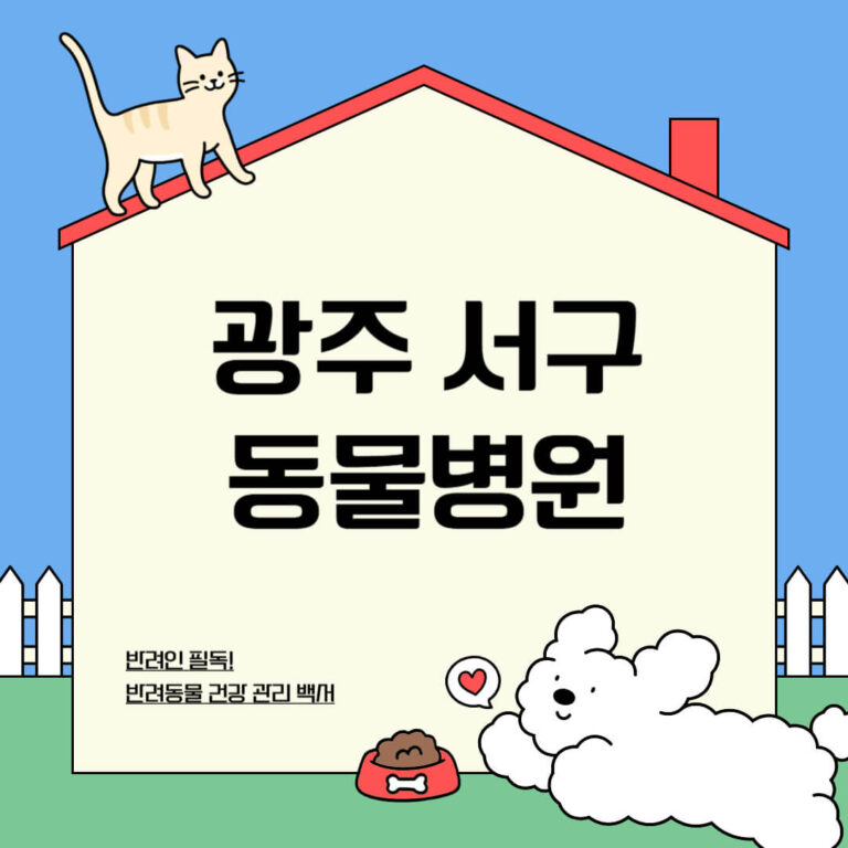 광주 서구 동물병원