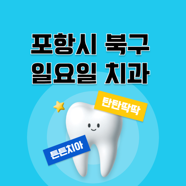 포항시 북구 일요일 치과