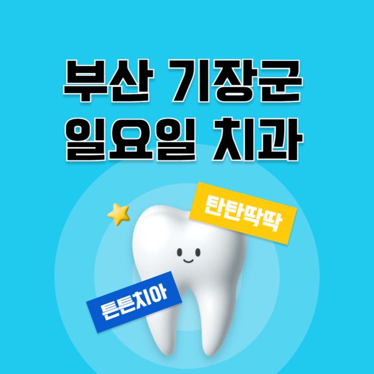 부산 기장군 일요일 치과