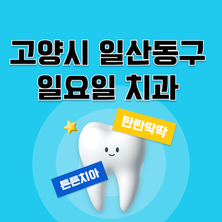 고양시 일산동구 일요일 치과