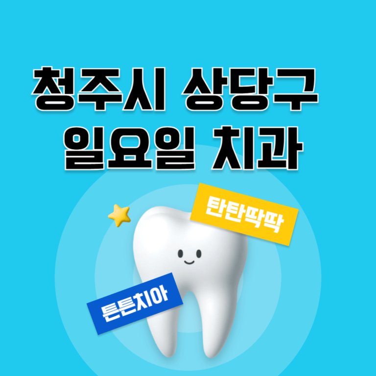 청주시 상당구 일요일 치과