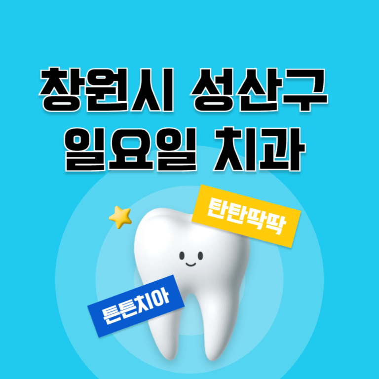 창원시 성산구 일요일 치과