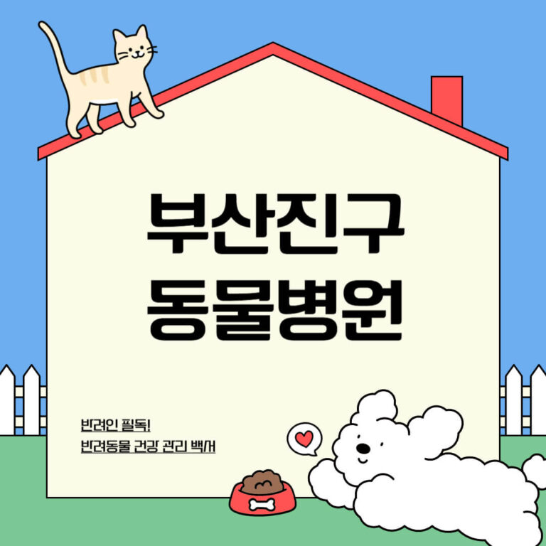 부산진구 동물병원