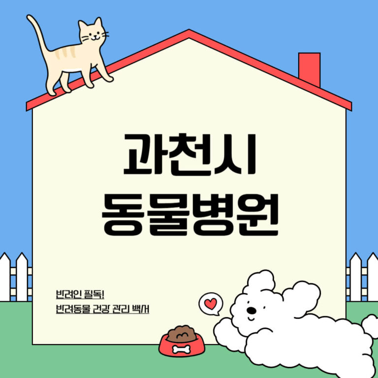 과천시 동물병원