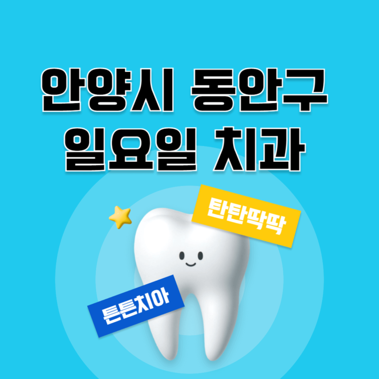 안양시 동안구 일요일 치과