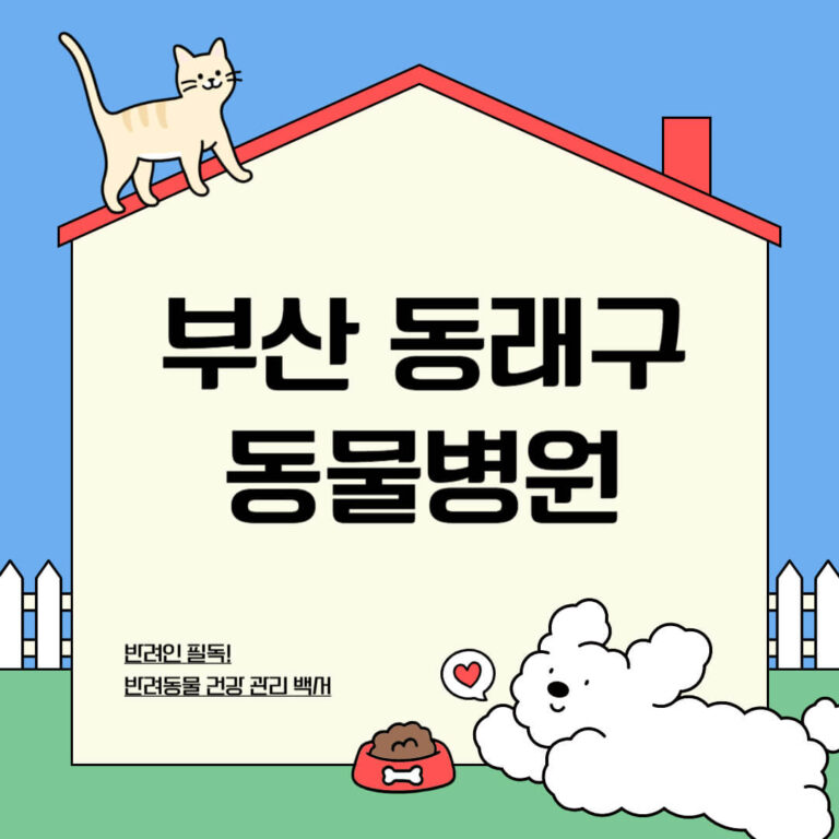부산 동래구 동물병원