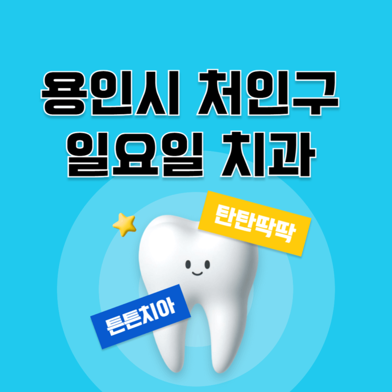 용인시 처인구 일요일 치과