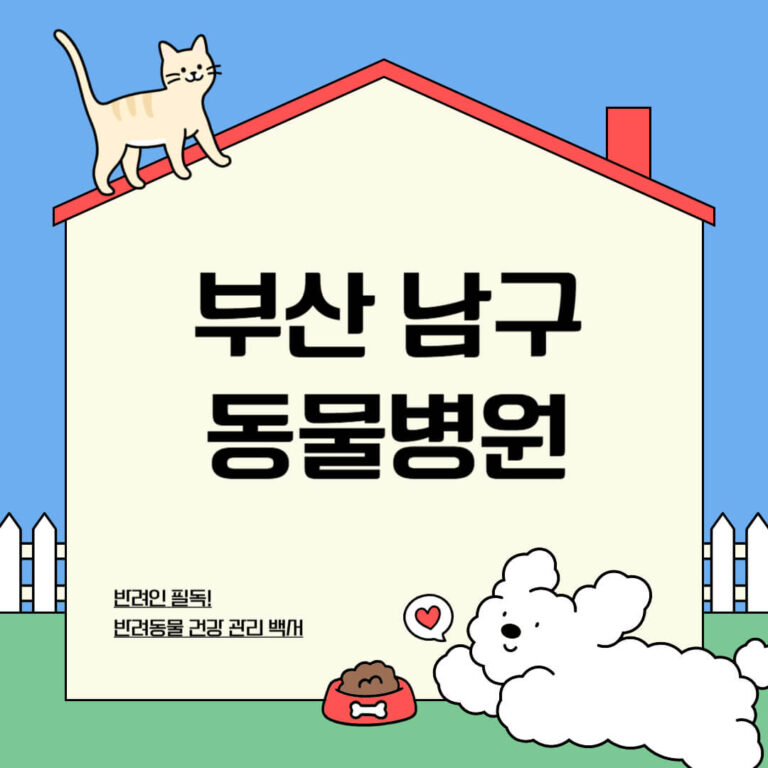 부산 남구 동물병원