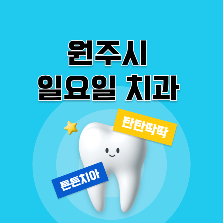 원주시 일요일 치과