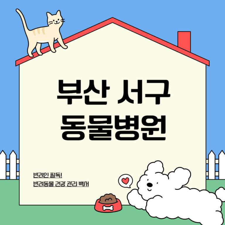 부산 서구 동물병원