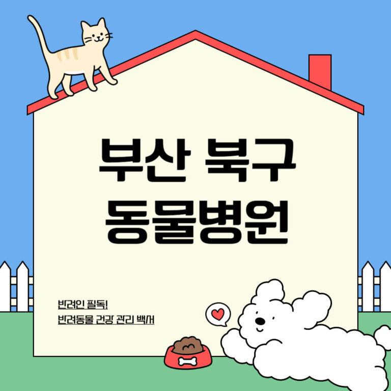 부산 북구 동물병원