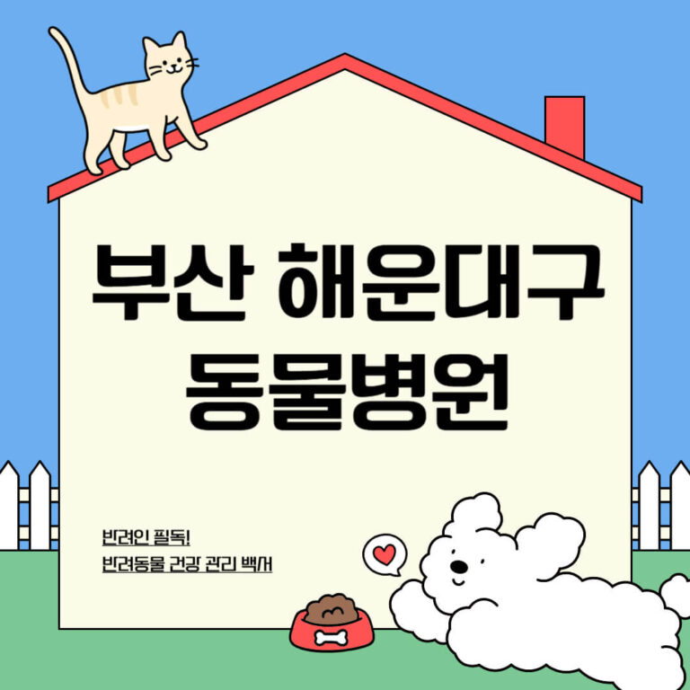 부산 해운대구 동물병원