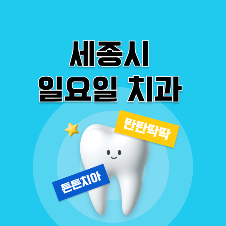 세종시 일요일 치과