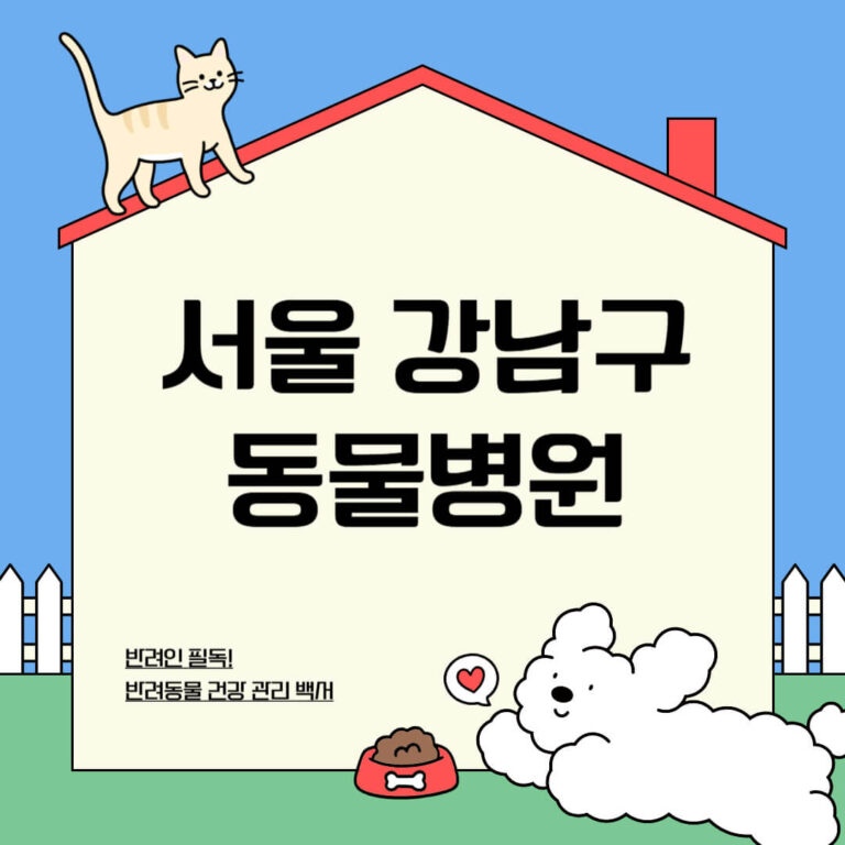 서울 강남구 동물병원