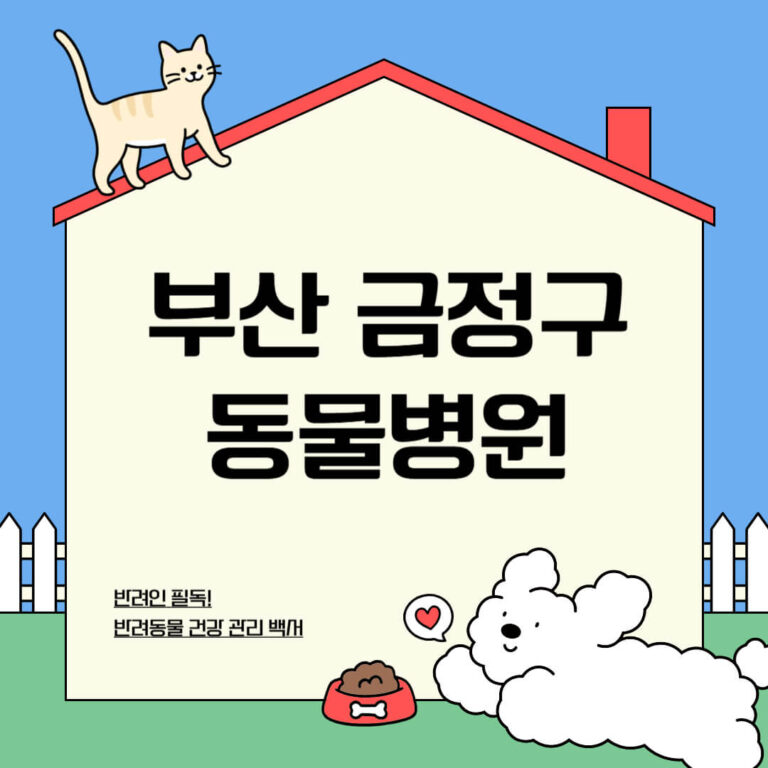 부산 금정구 동물병원