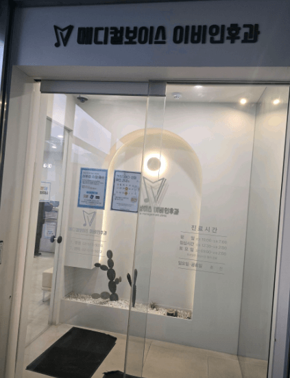 서울 강남구 이비인후과