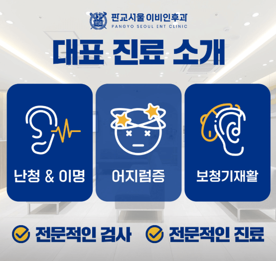 성남시 분당구 이비인후과