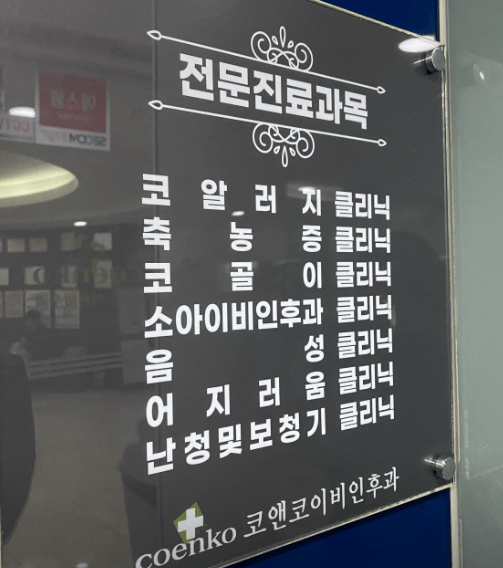 성남시 분당구 이비인후과