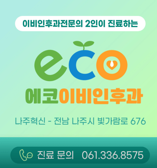 나주시 이비인후과