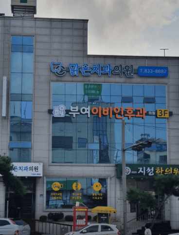 부여군 이비인후과