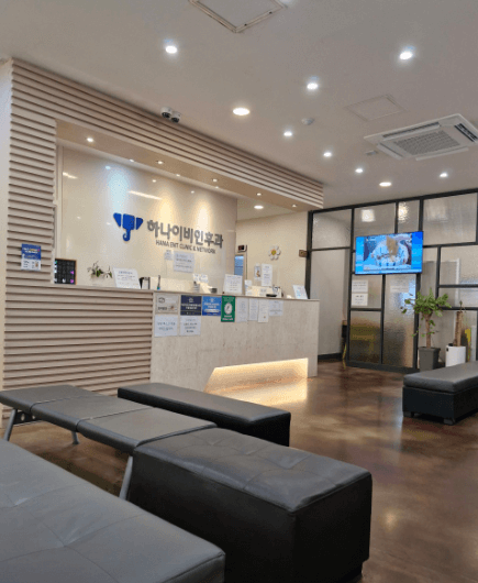 충주시 이비인후과