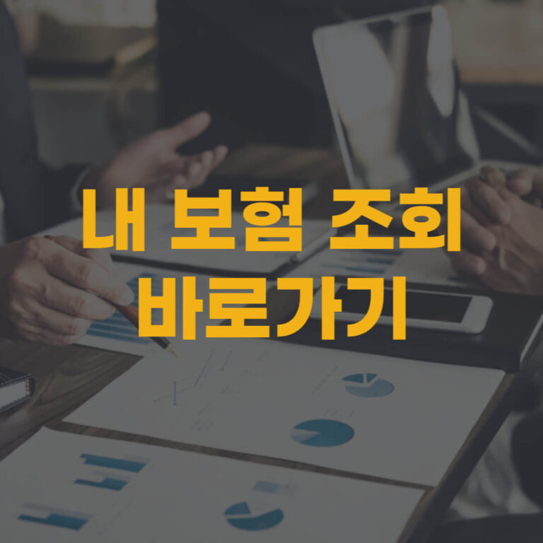 내 보험 조회