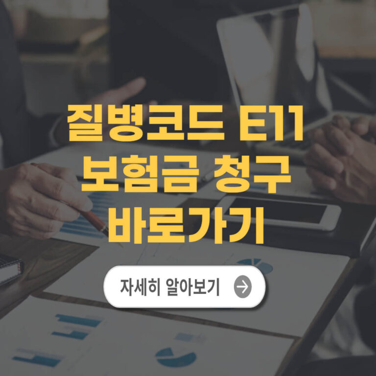 질병코드 E11