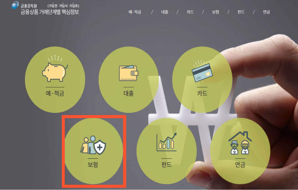 자동차보험 조회